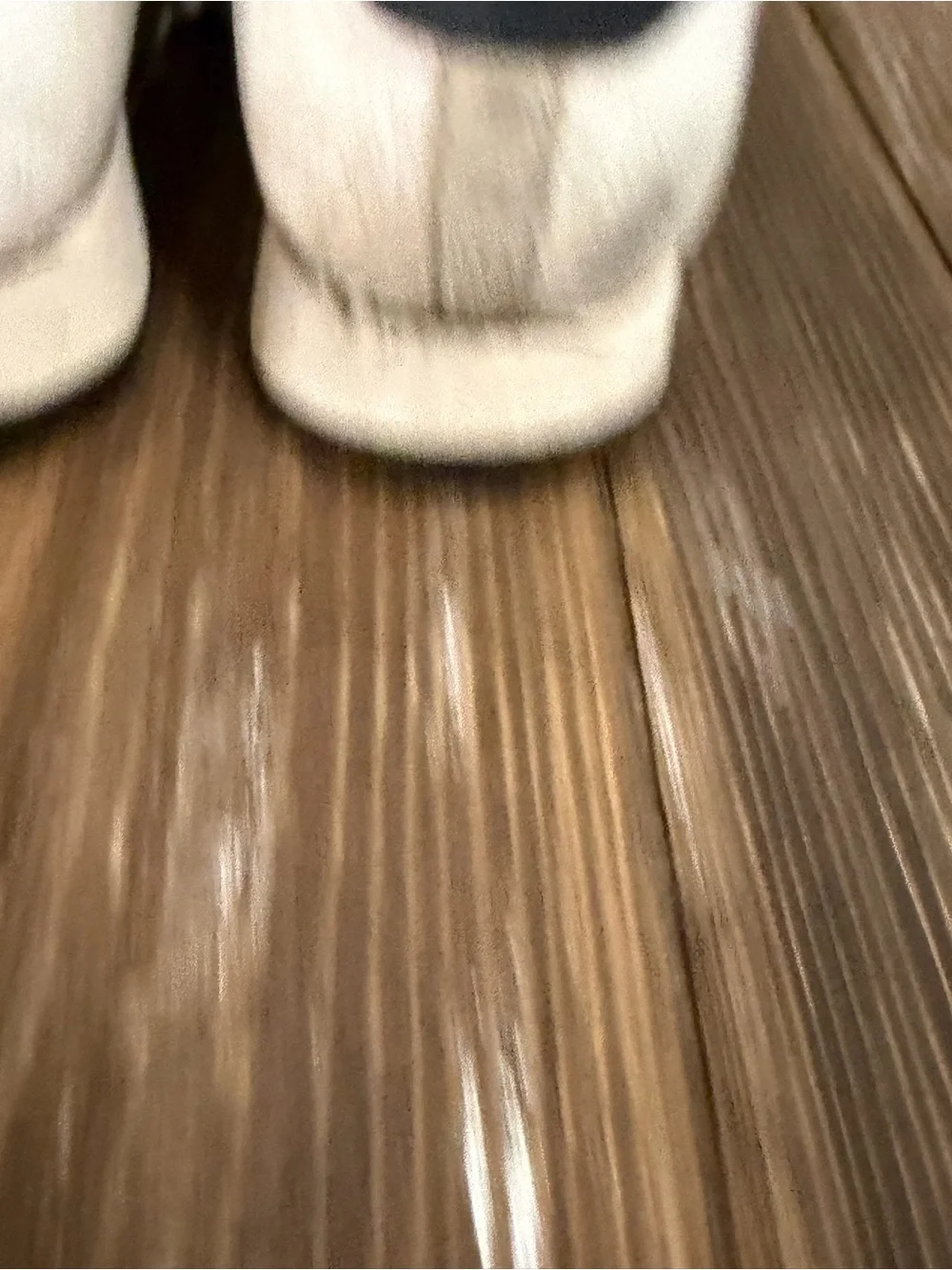 Adidas Men's White Samoa Sneakers